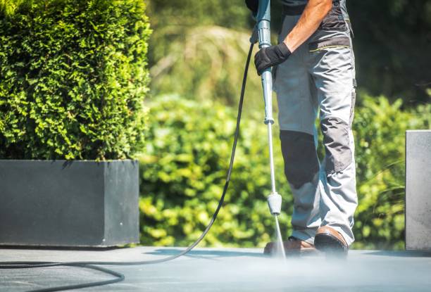 Best Driveway Cleaning and Restoration in Des Plaines, IL