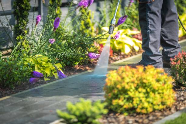 Best Pool Deck Cleaning in Des Plaines, IL
